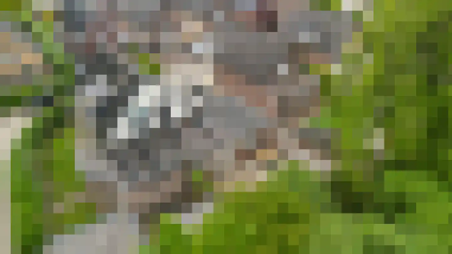 Korte Hezeweg 6 Apeldoorn thumbnail 40