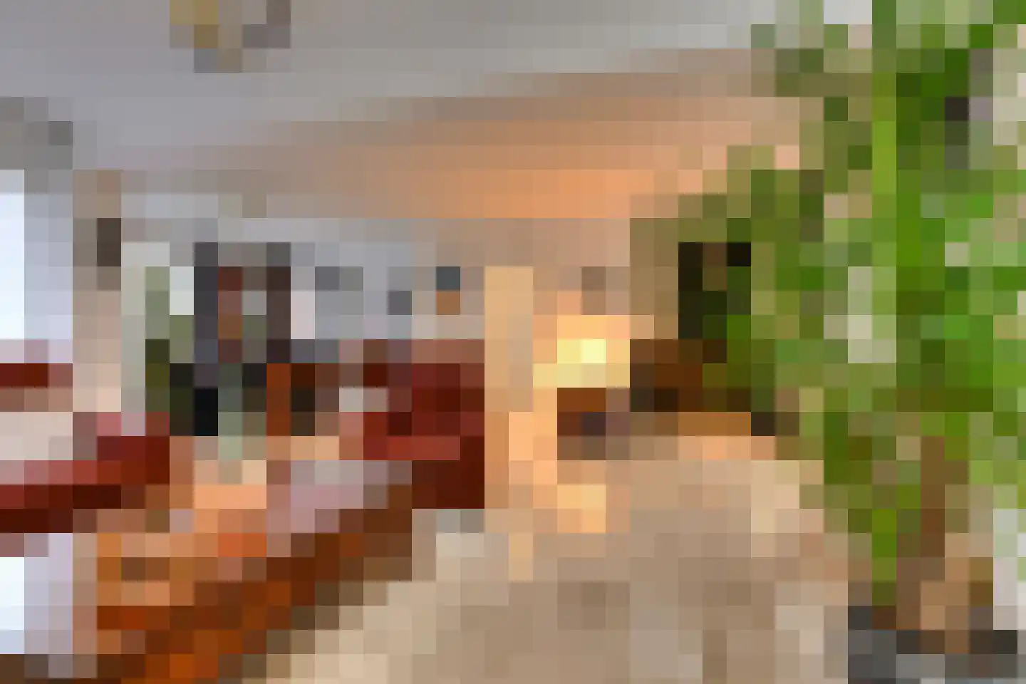 Korte Hil 2 Breda foto 2