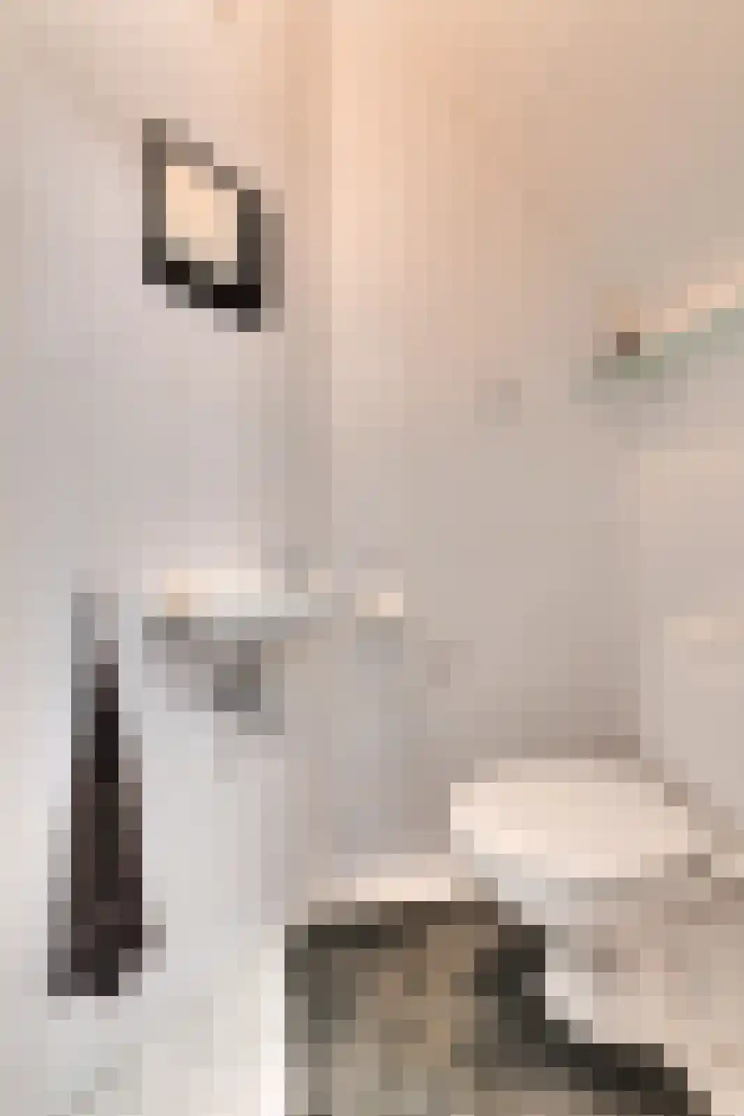 Korte Hil 2 Breda thumbnail 22