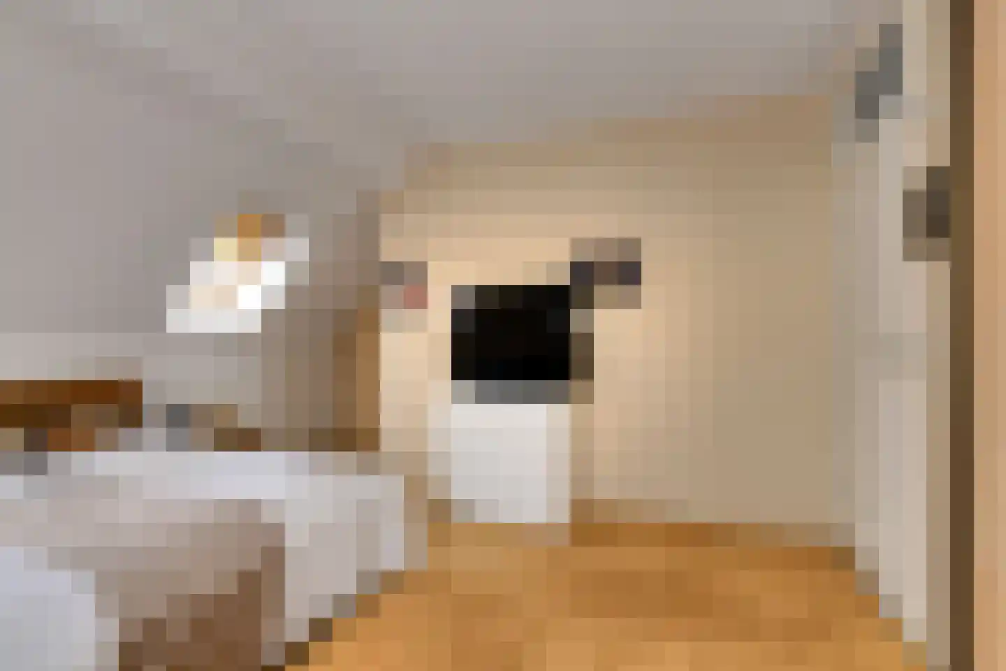 Korte Hil 2 Breda thumbnail 25