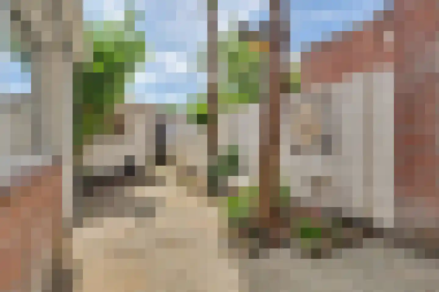 Korte Hoefstraat 14 Tilburg thumbnail 5