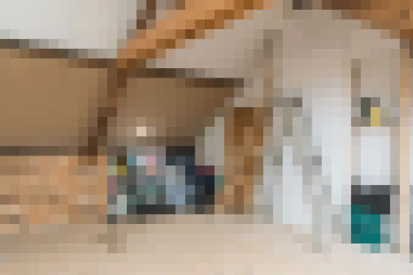 Korte Hoefstraat 19 Tilburg thumbnail 31