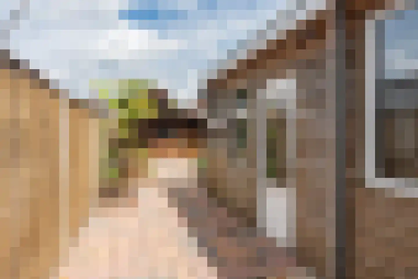 Korte Hoefstraat 19 Tilburg thumbnail 33