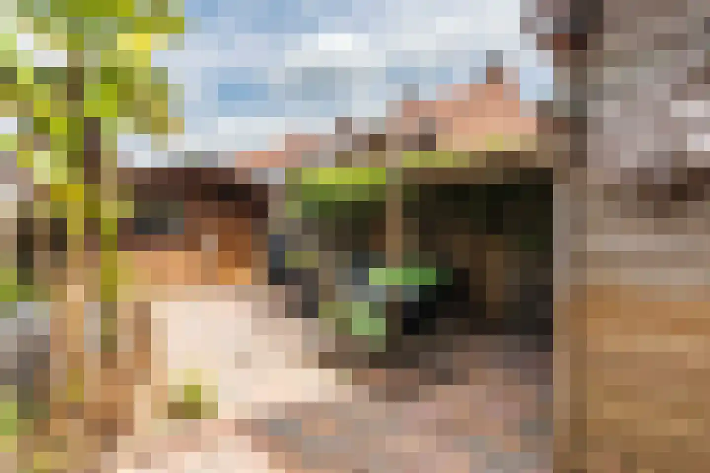 Korte Hoefstraat 19 Tilburg thumbnail 34
