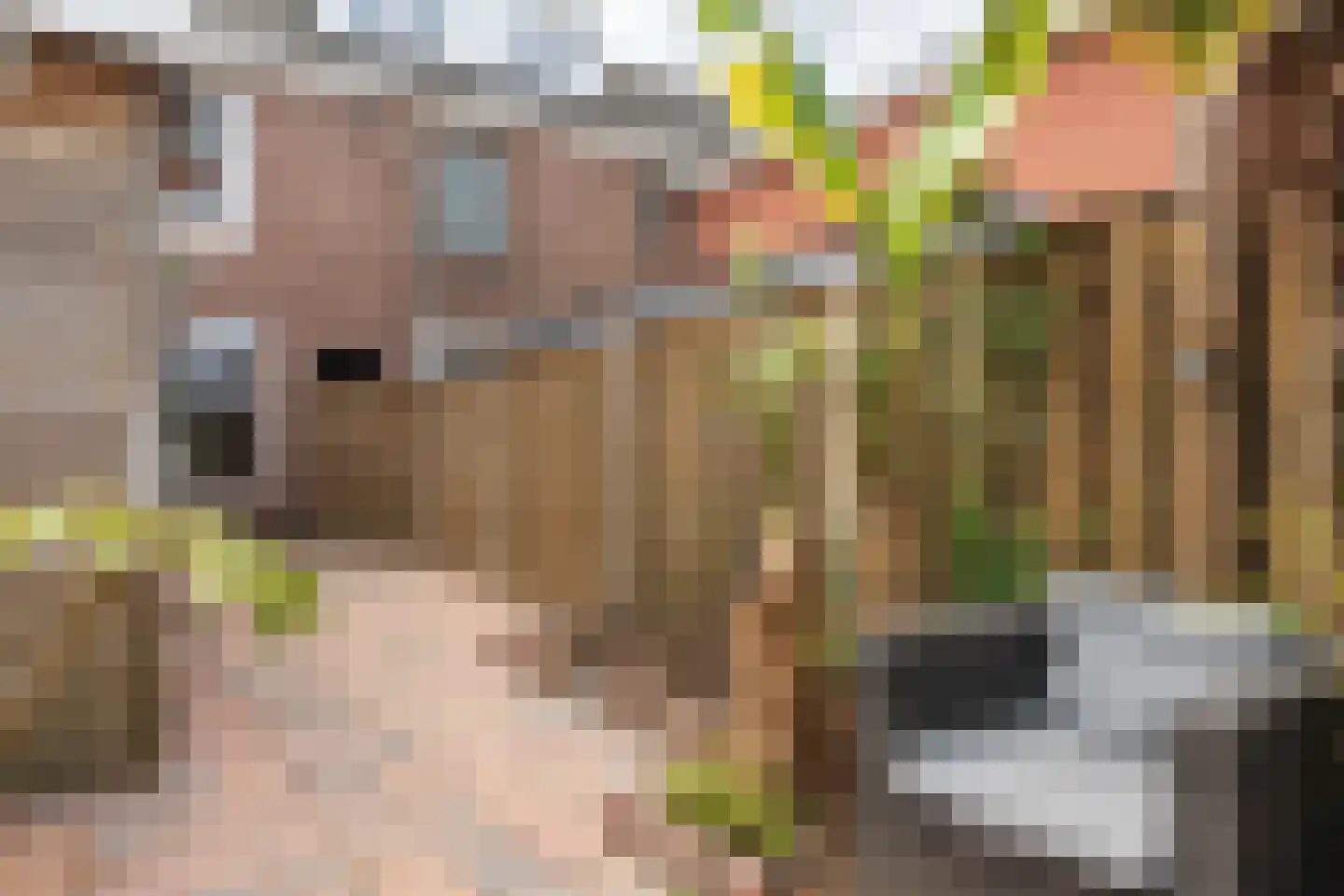 Korte Hoefstraat 19 Tilburg thumbnail 38