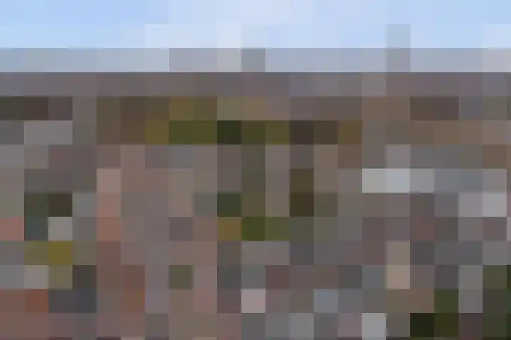 Korte Hoefstraat 22 Tilburg thumbnail 27