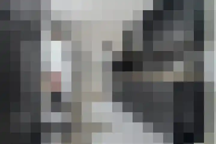 Korte Hoefstraat 22 Tilburg thumbnail 9