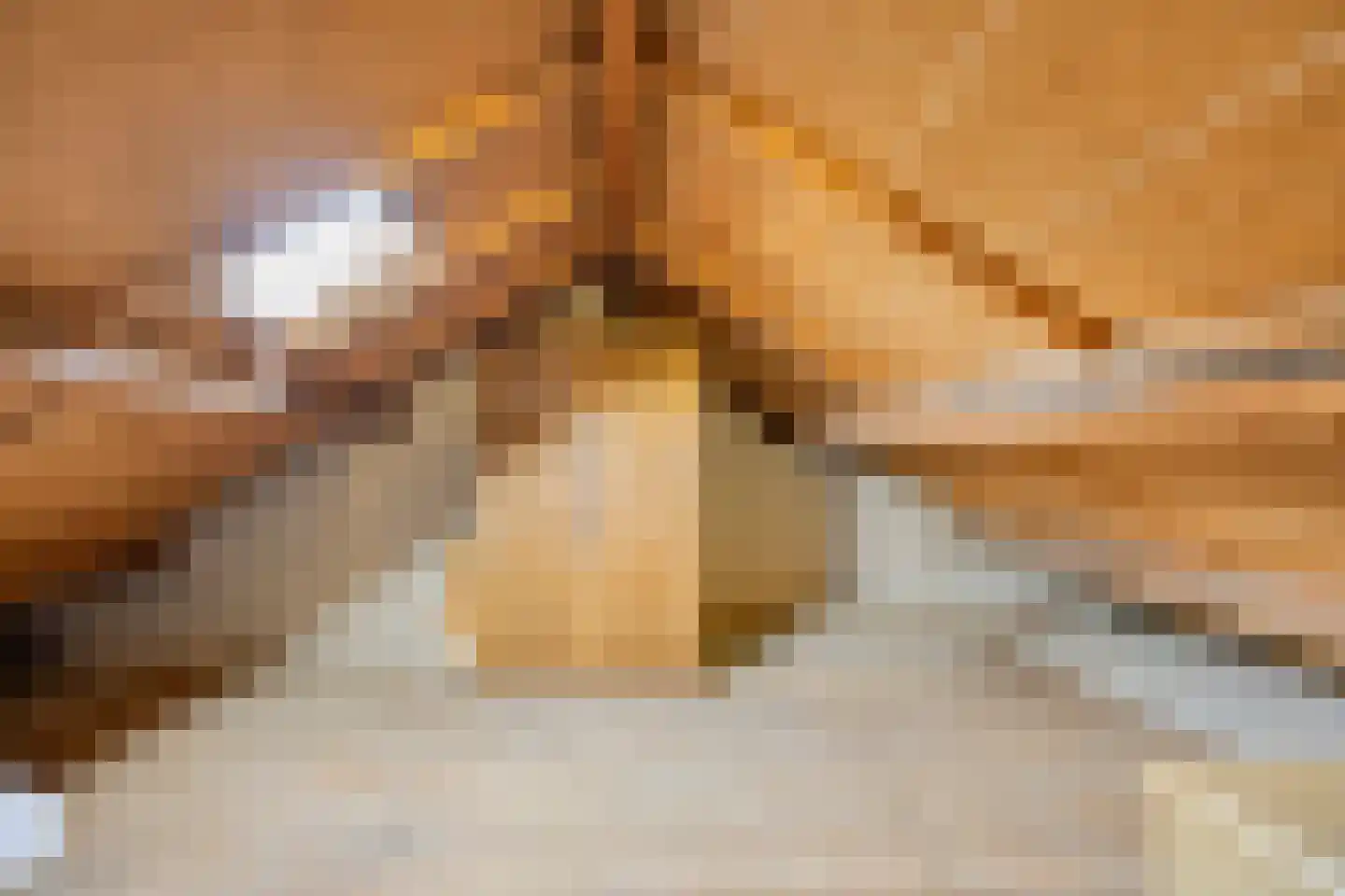 Korte Hoefstraat 7 Tilburg thumbnail 33