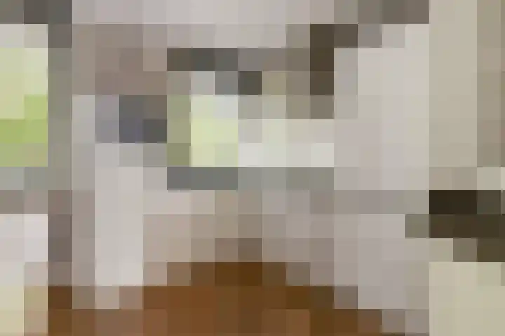 Korte Hoogstraat 21 B Vlaardingen thumbnail 10