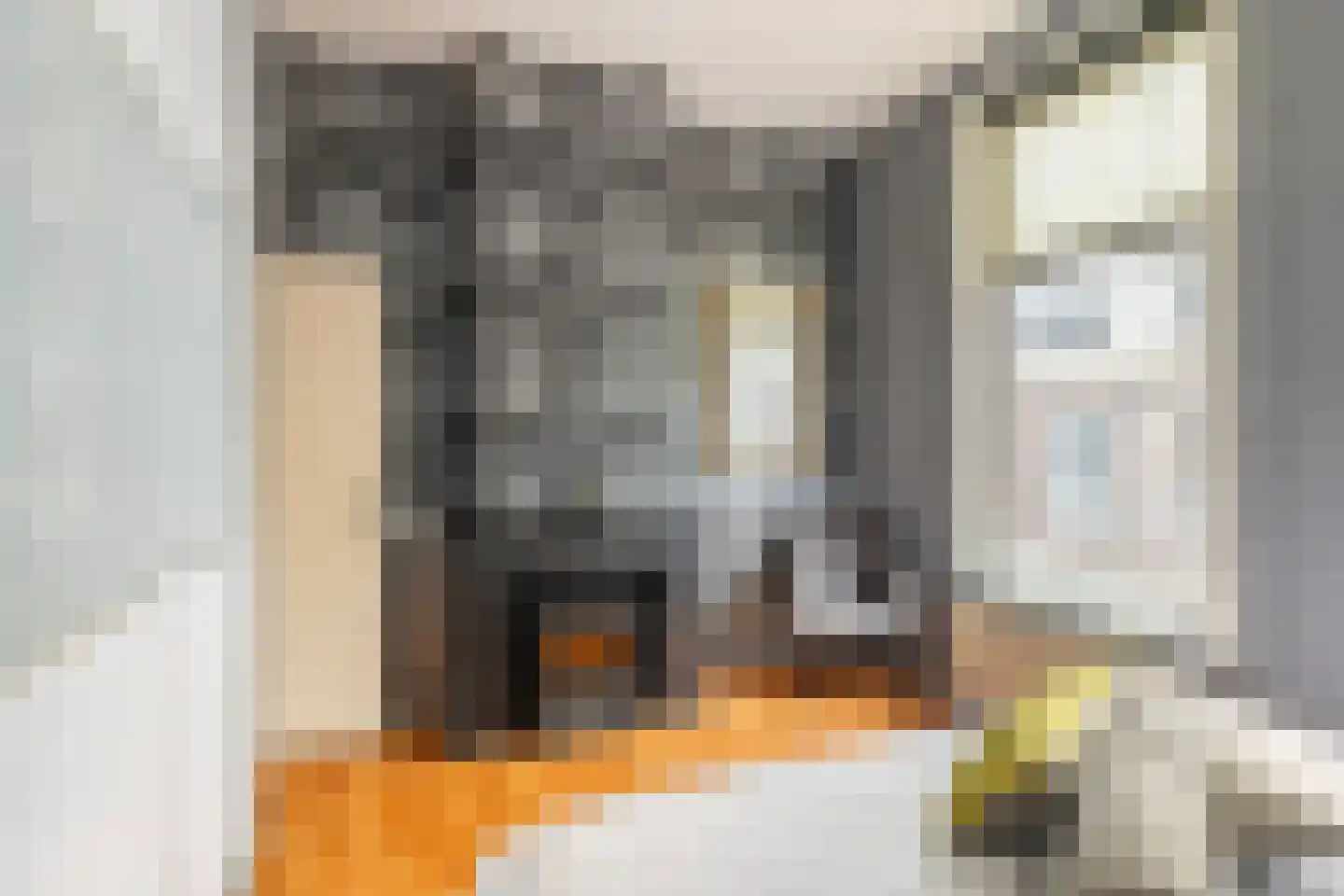 Korte Hoogstraat 3 Vlaardingen thumbnail 27