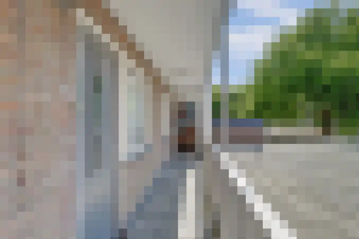 Korte Hoogstraat 37 C Vlaardingen thumbnail 25