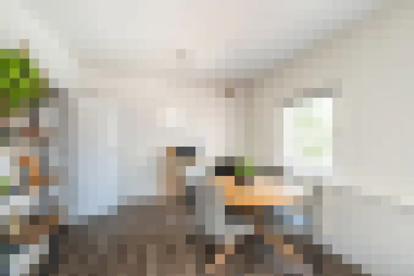 Korte Hoogstraat 43 B Vlaardingen thumbnail 18
