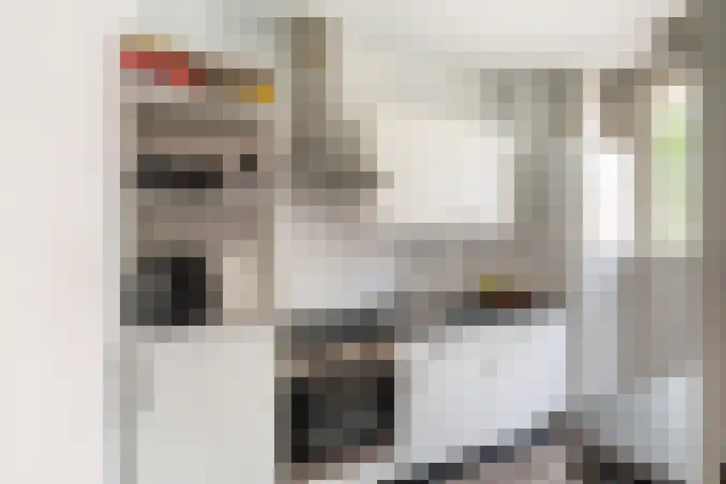 Korte Hoogstraat 43 B Vlaardingen thumbnail 20