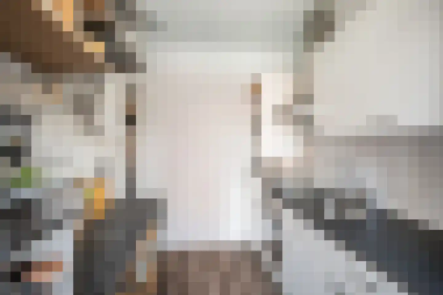 Korte Hoogstraat 43 B Vlaardingen thumbnail 22
