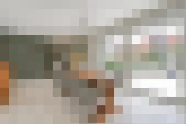 Korte Hout 2 Assen thumbnail 15