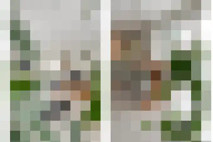 Korte Hout 2 Assen thumbnail 19
