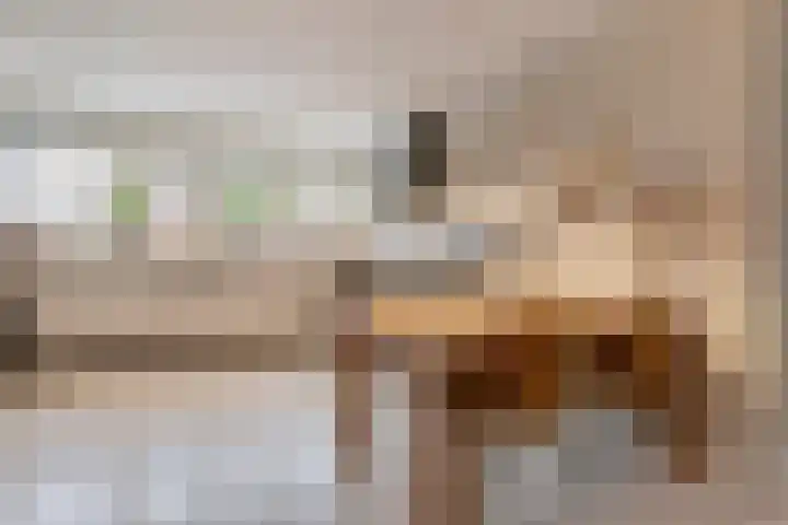 Korte Hout 2 Assen thumbnail 20