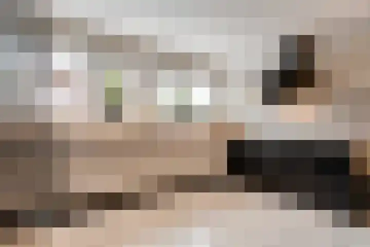 Korte Hout 2 Assen thumbnail 23