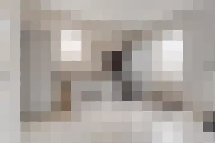 Korte Hout 2 Assen thumbnail 26