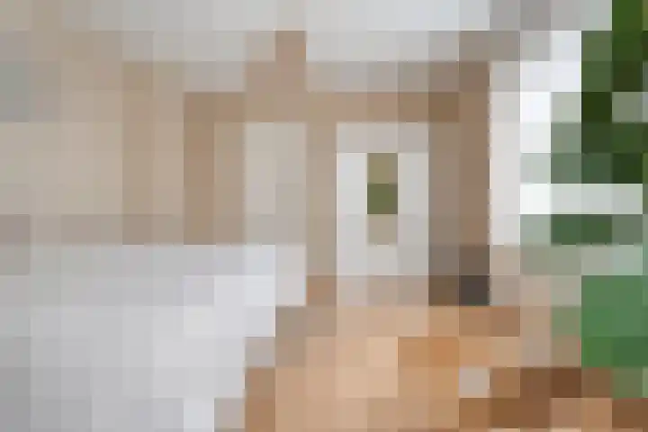 Korte Hout 2 Assen thumbnail 35