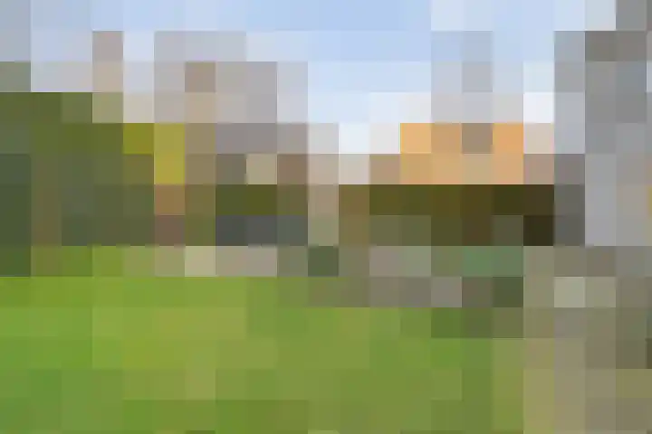 Korte Hout 2 Assen thumbnail 53