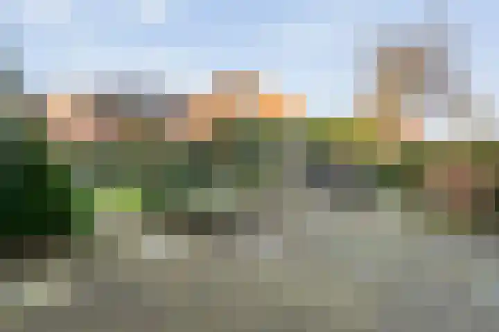 Korte Hout 2 Assen thumbnail 57