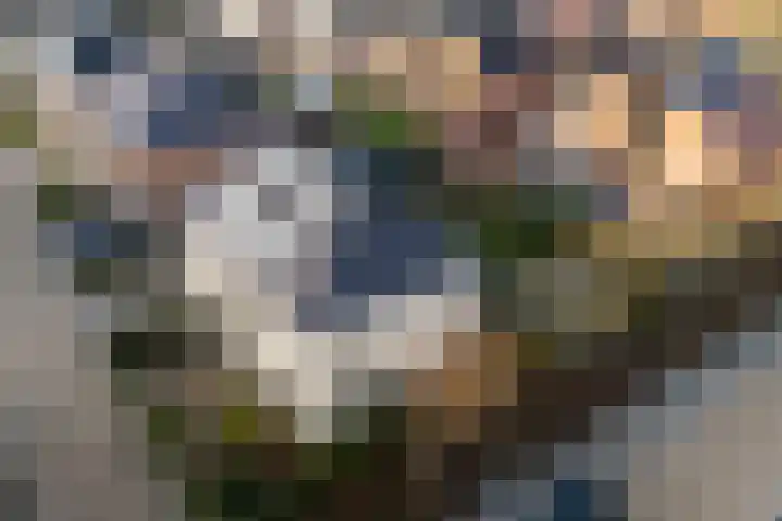 Korte Hout 2 Assen thumbnail 63
