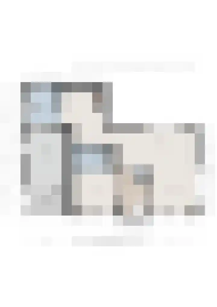 Korte Hout 2 Assen thumbnail 68