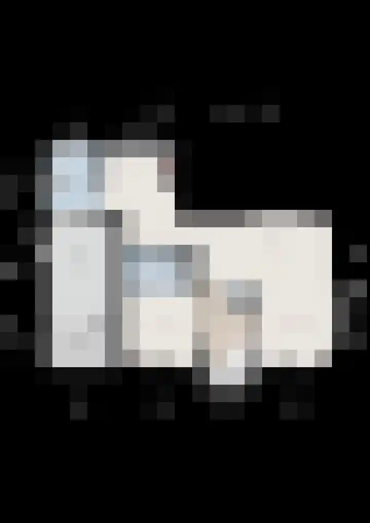 Korte Hout 2 Assen thumbnail 69
