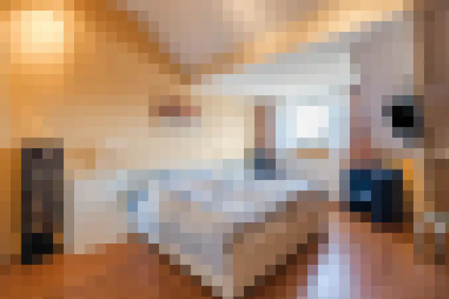 Korte Hout 3 Assen thumbnail 29