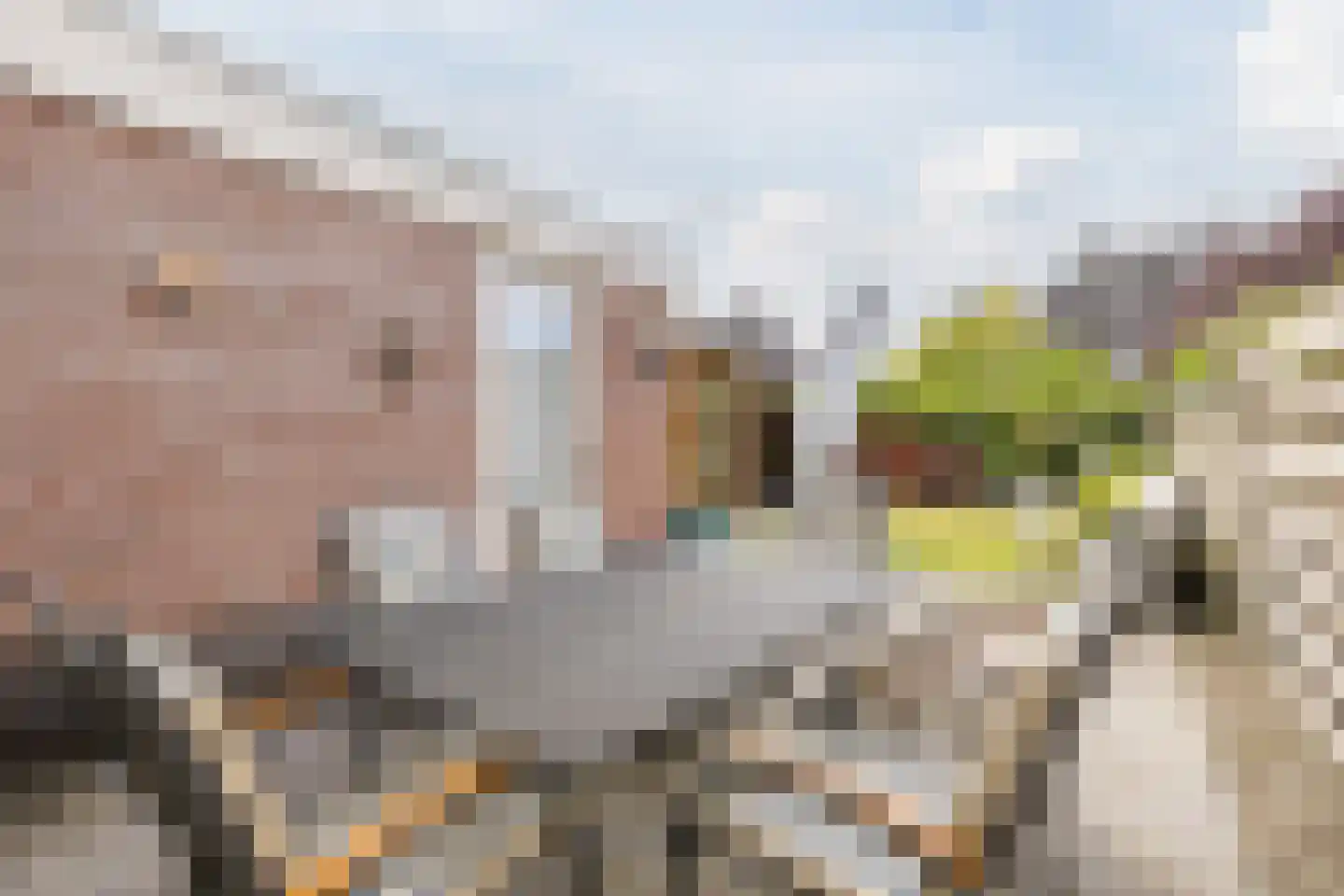 Korte Hout 3 Assen thumbnail 35