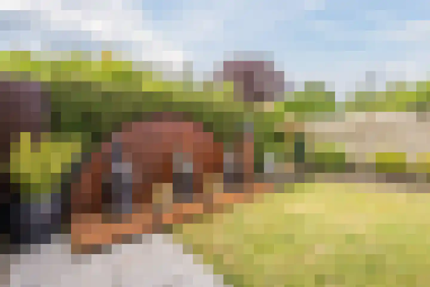 Korte Hout 3 Assen thumbnail 44