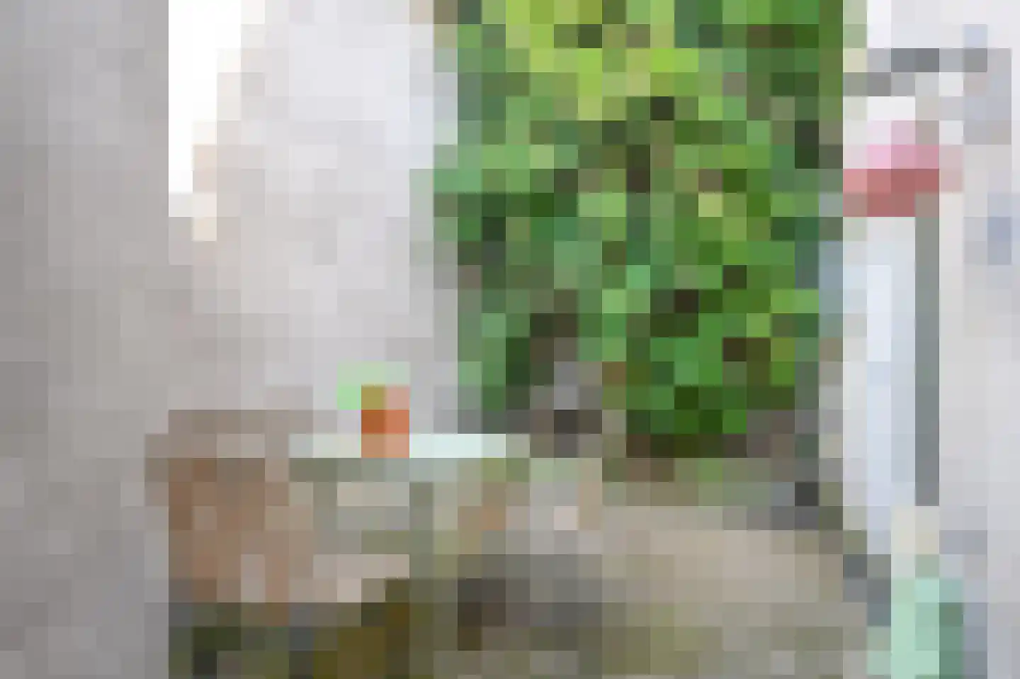 Korte Houtstraat 13 Haarlem thumbnail 4