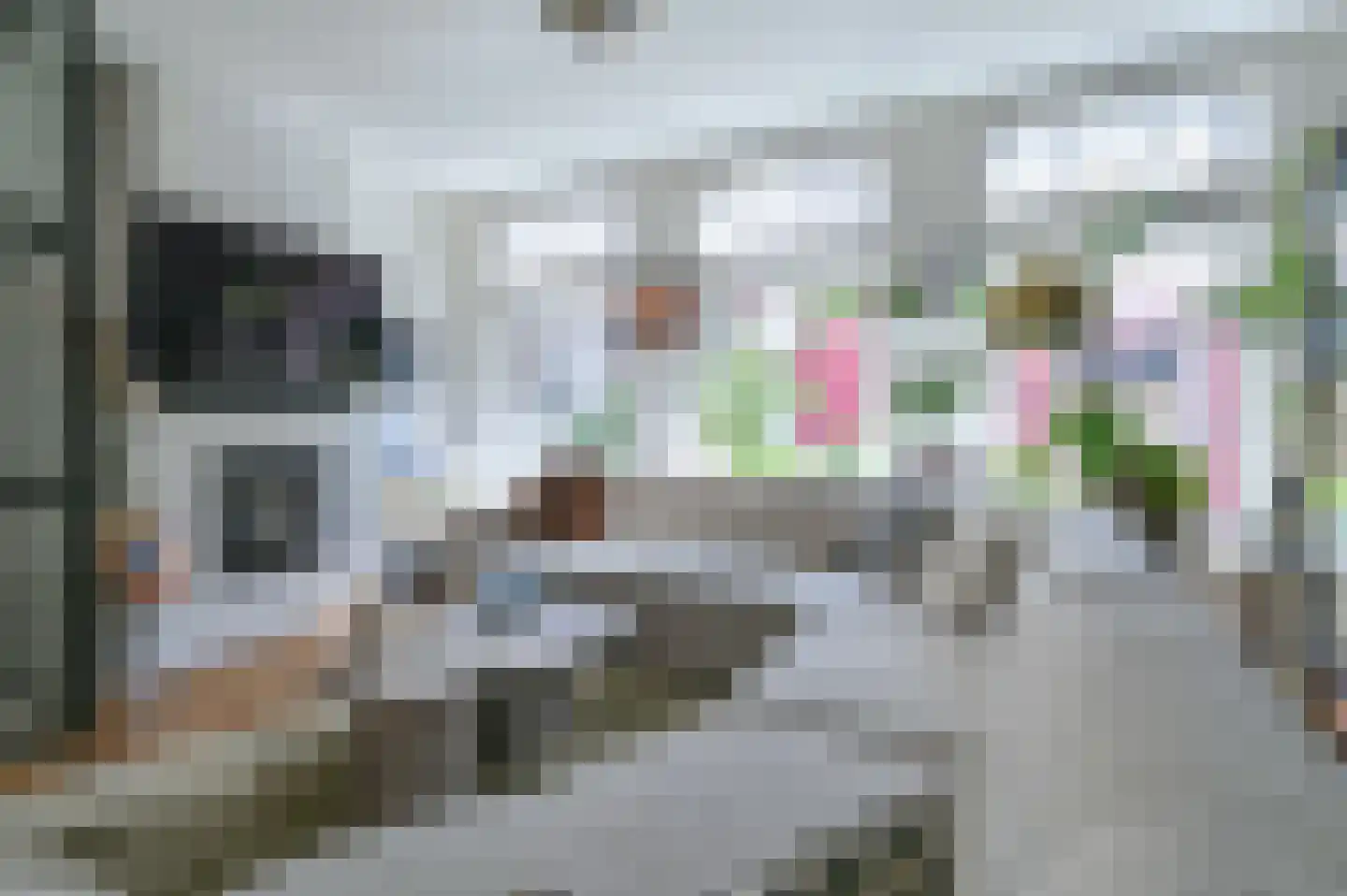 Korte Houtstraat 13 Haarlem thumbnail 9