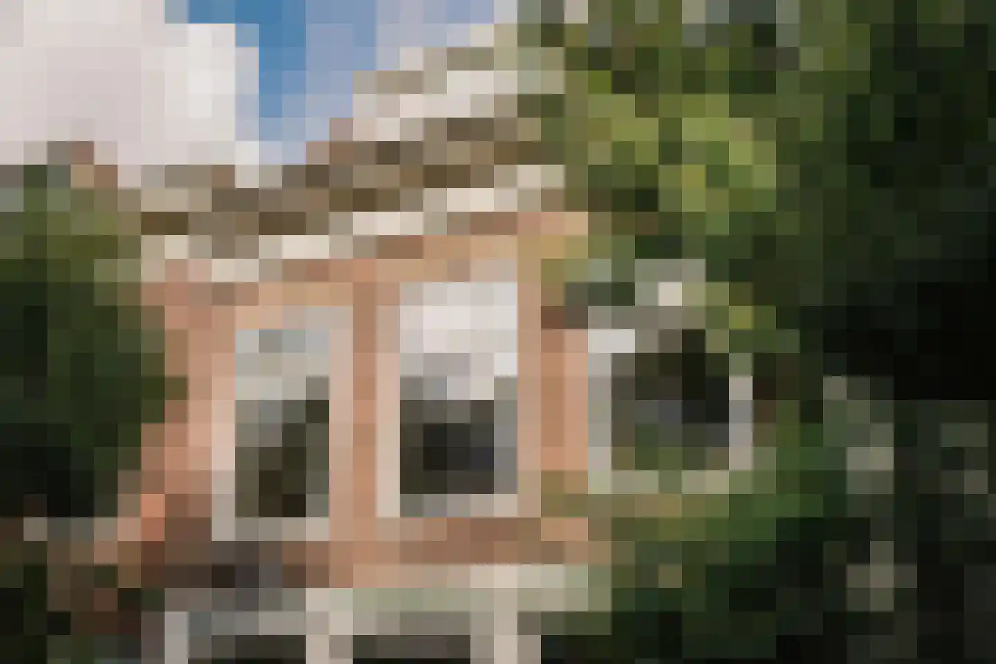 Korte Houtstraat 19 RD Haarlem thumbnail 31