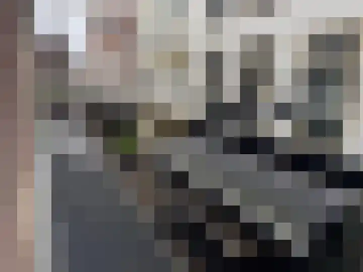 Korte Houtstraat 5 A Den Haag thumbnail 7