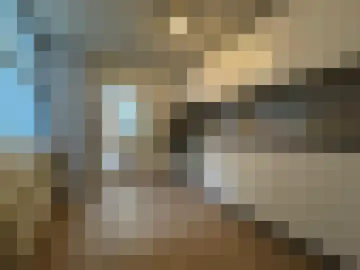 Korte Houtstraat 5 A Den Haag thumbnail 8