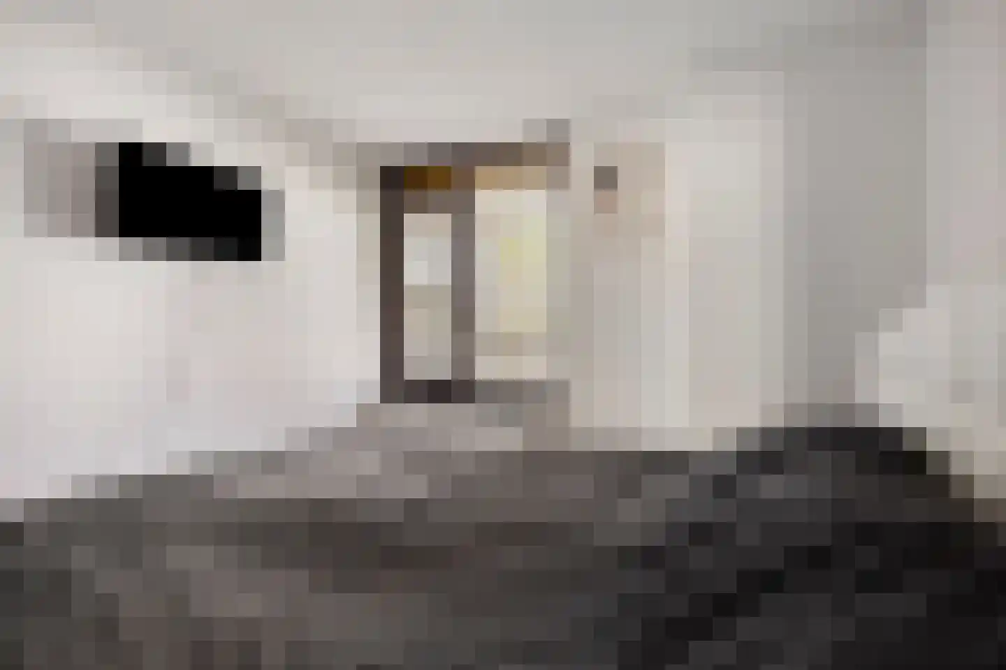Korte Houtstraat 90 Den Haag thumbnail 13