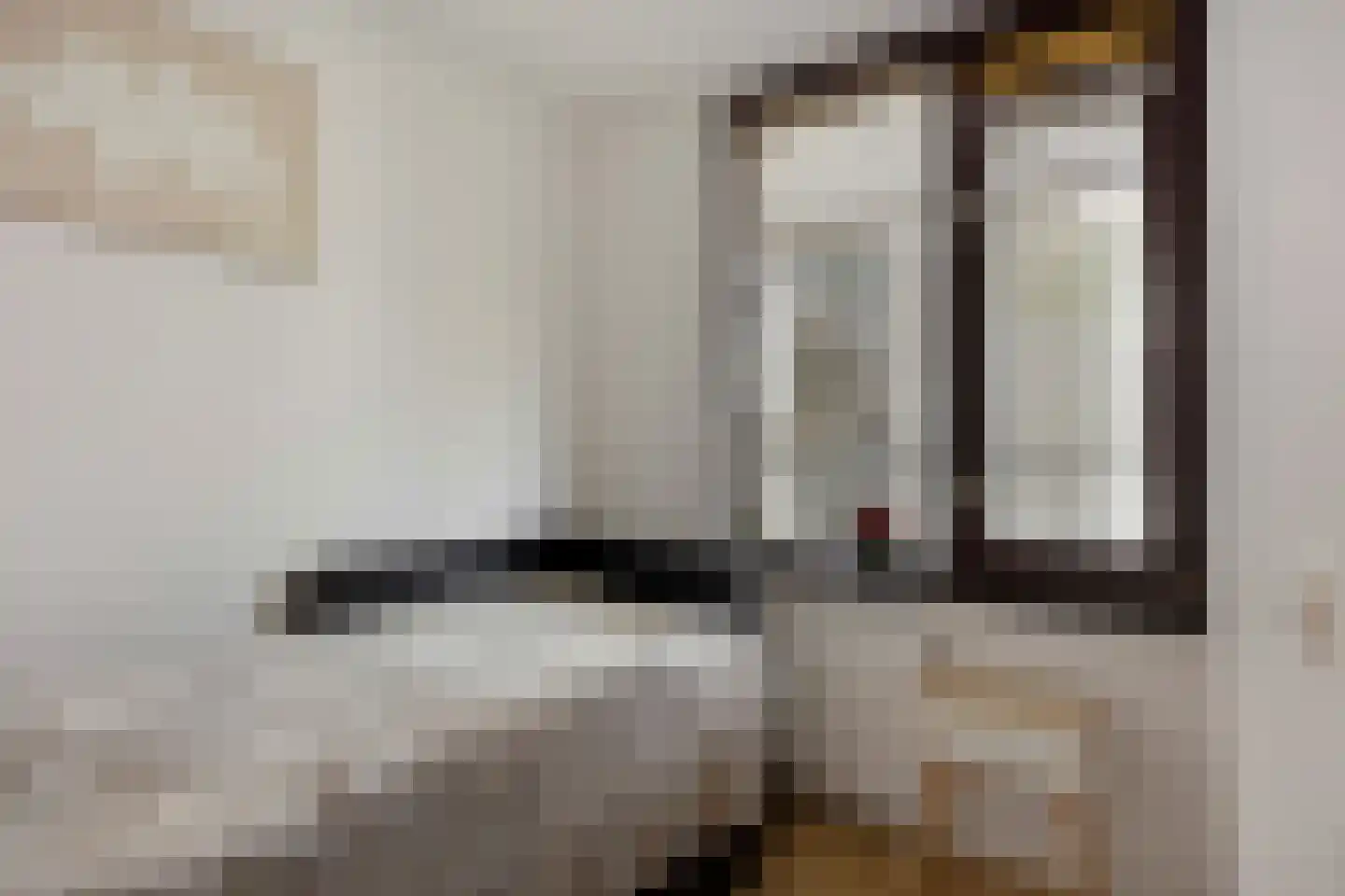 Korte Houtstraat 90 Den Haag thumbnail 17