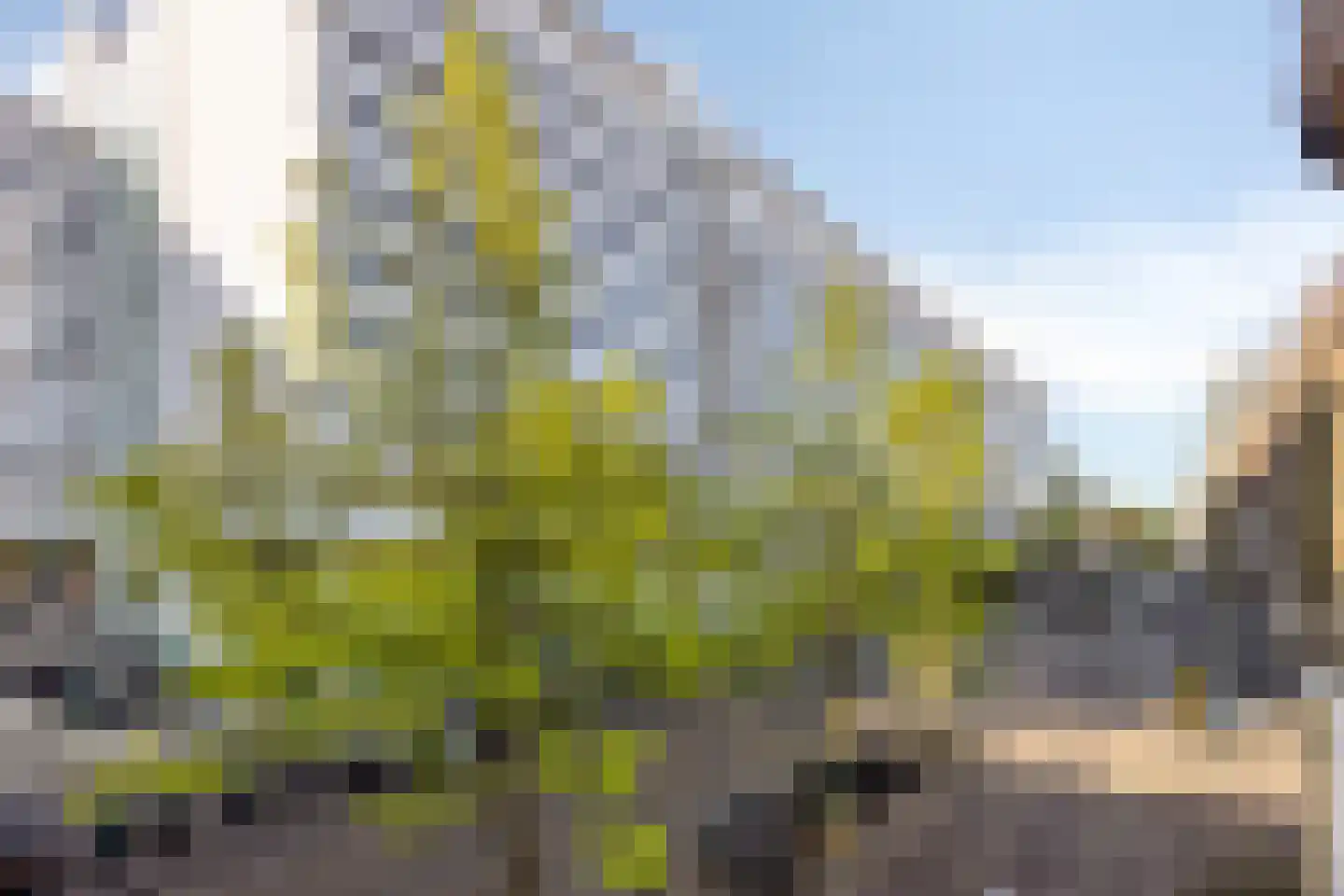 Korte Houtstraat 90 Den Haag thumbnail 27