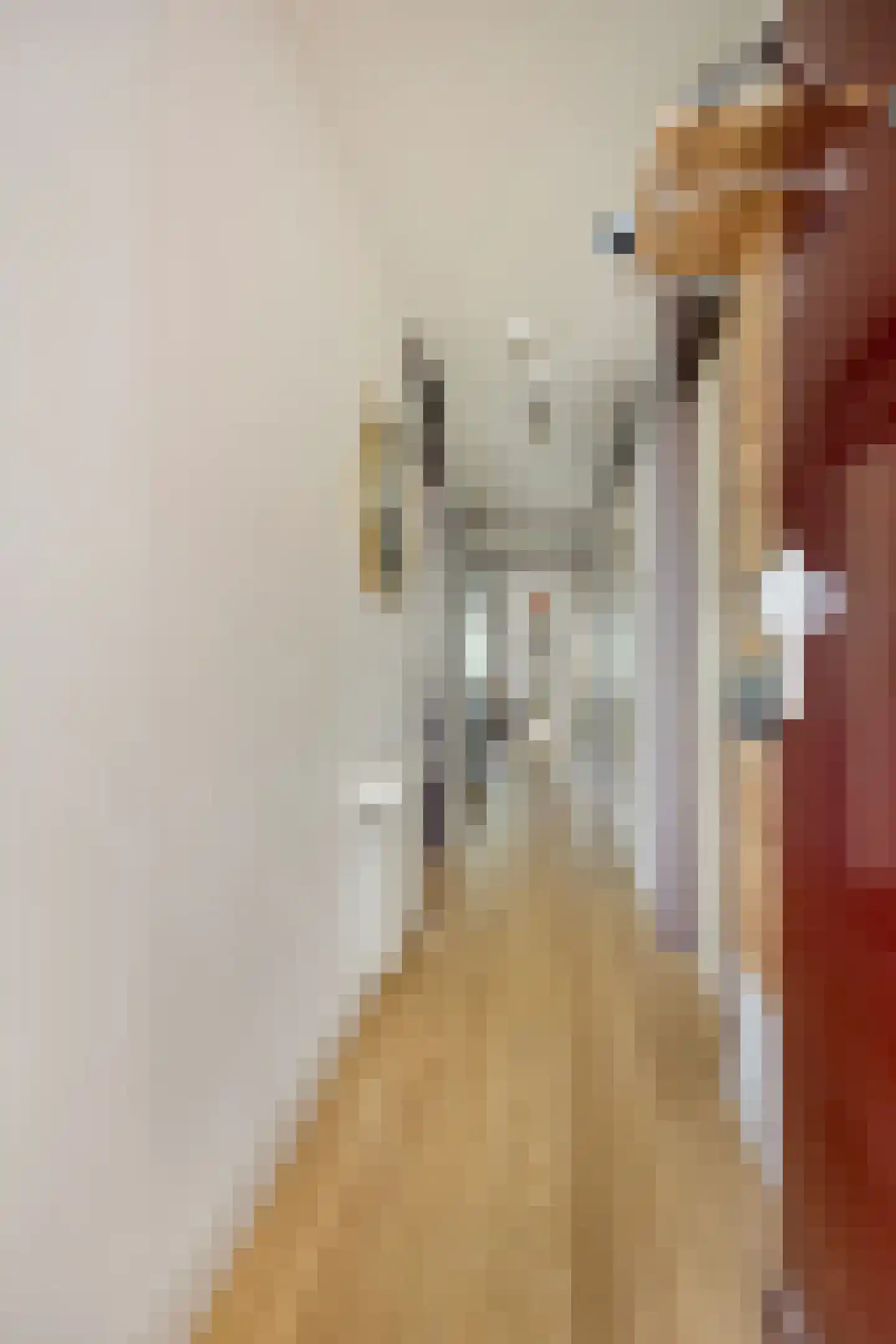 Korte Houtstraat 90 Den Haag thumbnail 4