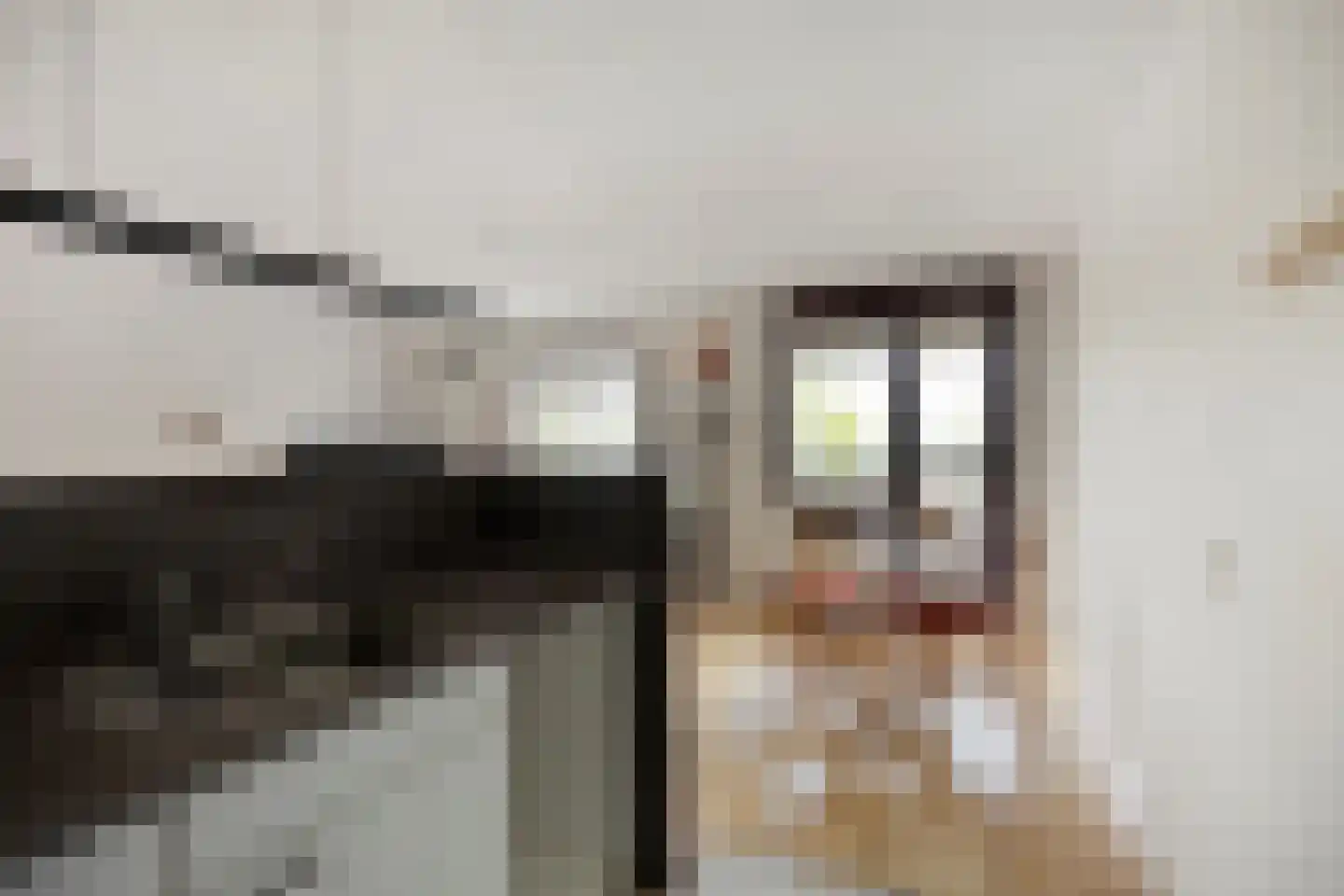 Korte Houtstraat 90 Den Haag thumbnail 8