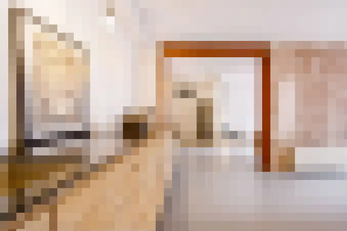 Korte Jansstraat 3 D Utrecht thumbnail 25