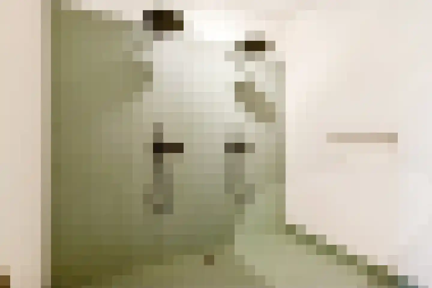 Korte Jansstraat 3 D Utrecht thumbnail 42