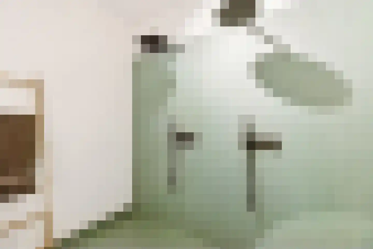 Korte Jansstraat 3 D Utrecht thumbnail 44