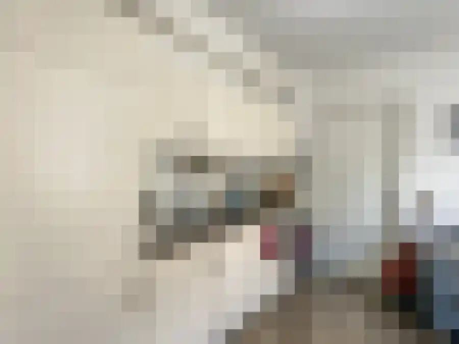 Korte Jansstraat 6 Utrecht thumbnail 5