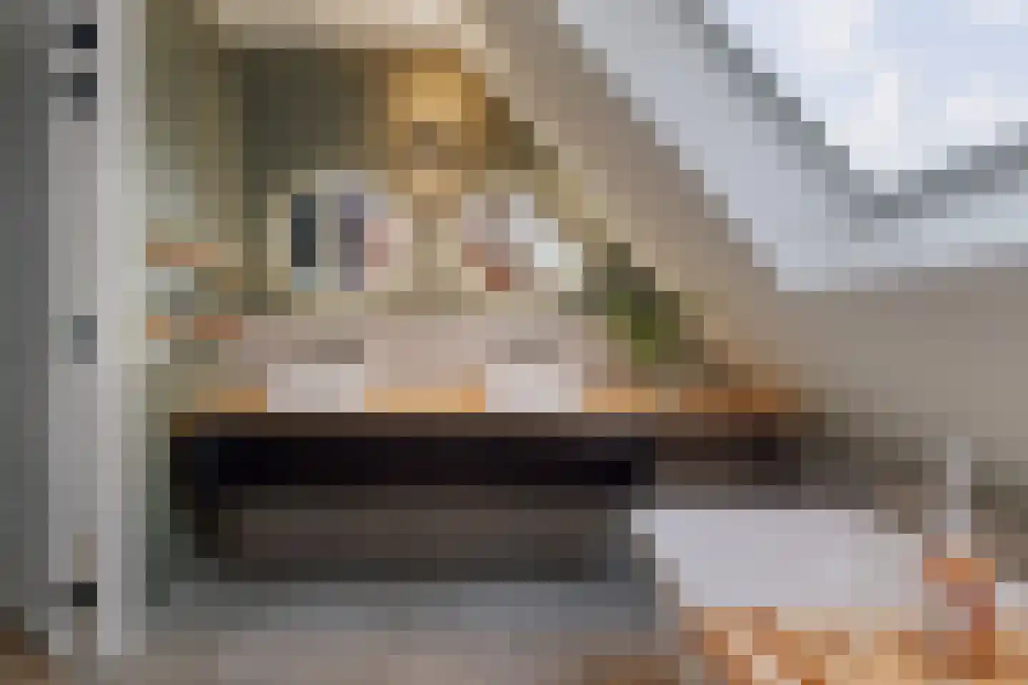 Korte Kamp 1 Olst thumbnail 25