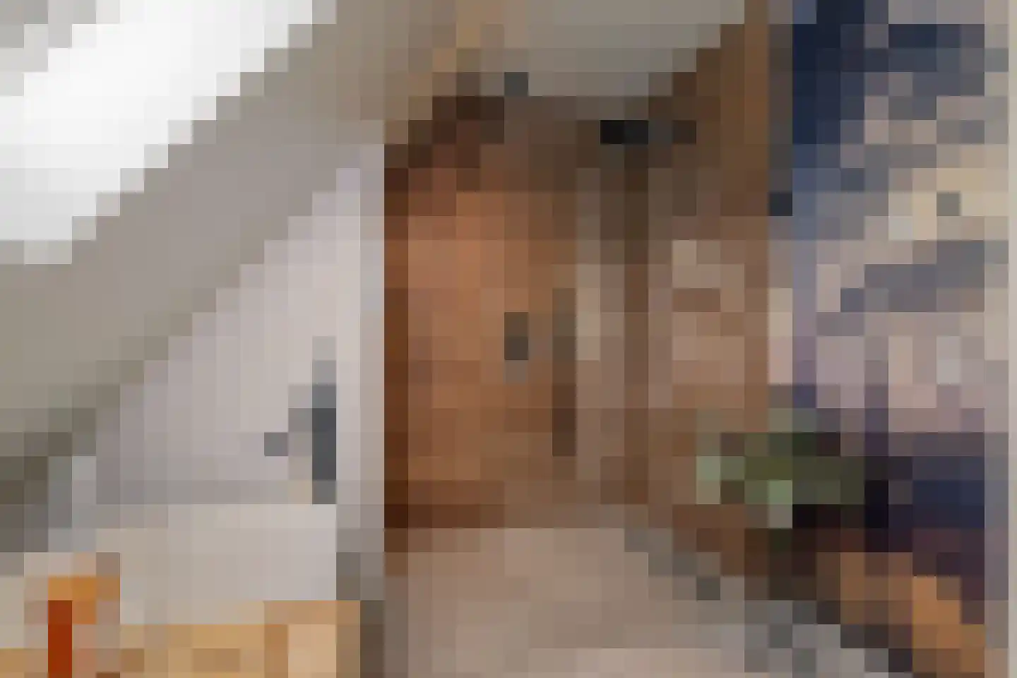 Korte Kamp 1 Olst thumbnail 26