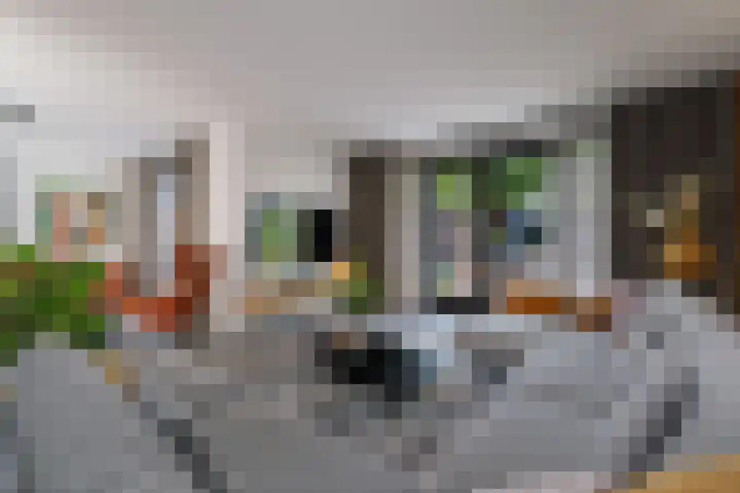 Korte Kamp 1 Olst foto 3