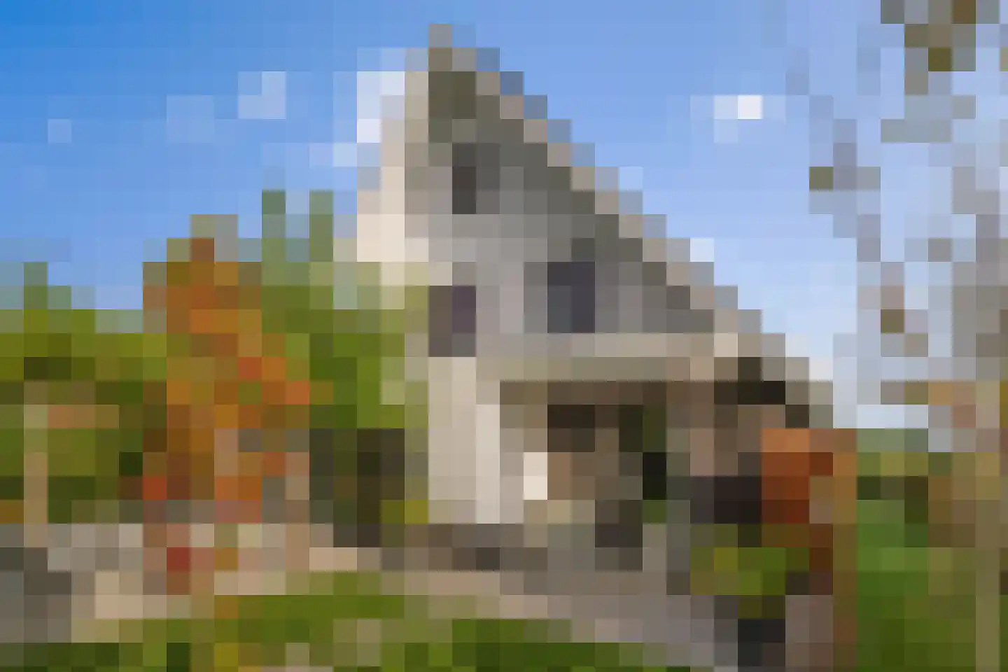 Korte Kamp 1 Olst thumbnail 39